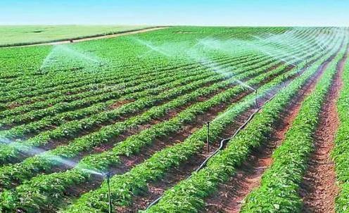 骚货漏逼求操视频农田高 效节水灌溉